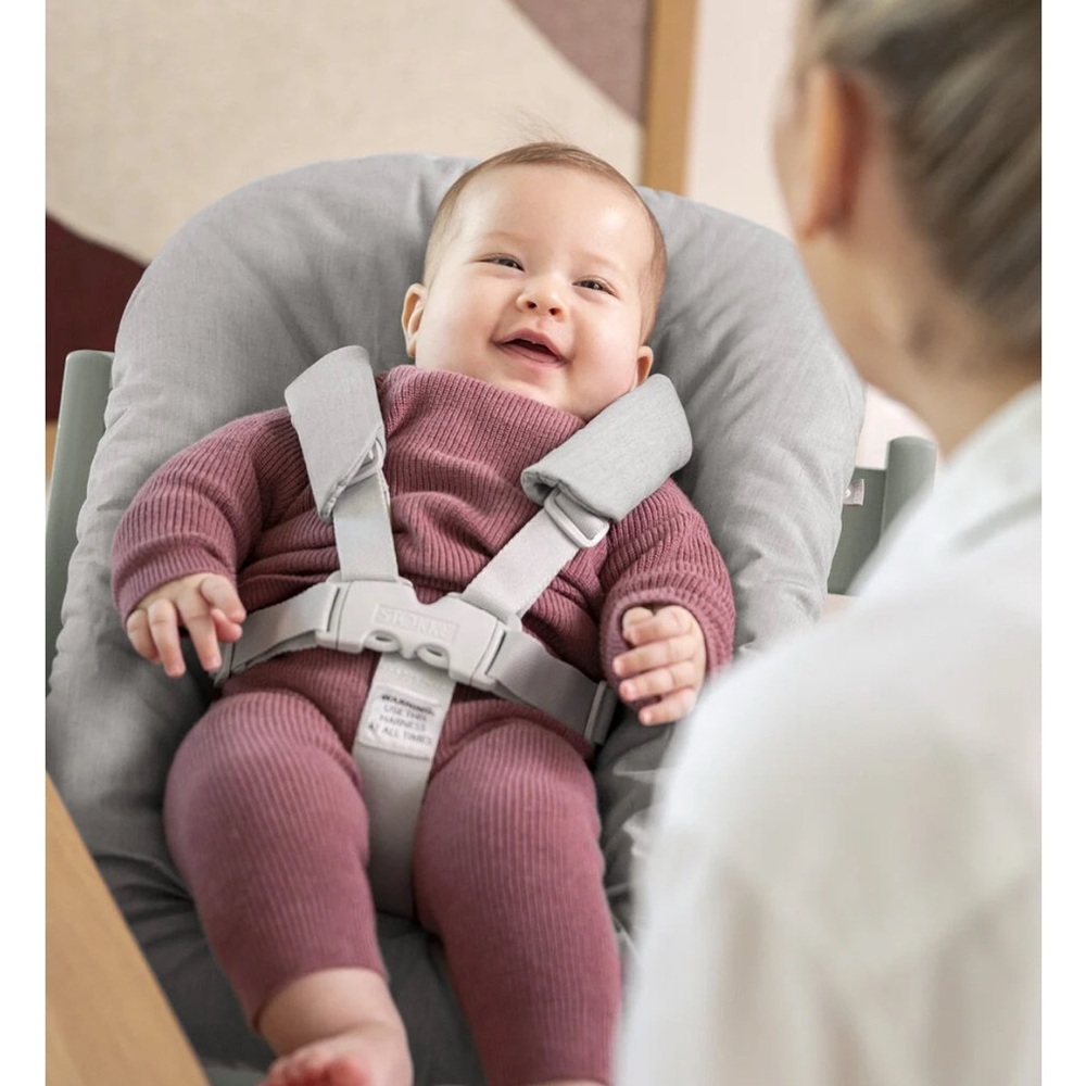 Newborn trip trapp seat - great condition, rarely used